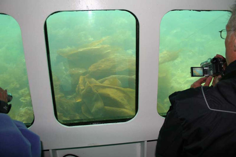 Scottish Highlands: Isle of Skye Glass-Bottom Boat Tour Isle of Skye: 1-Hour Glass-Bottom Boat Wildlife Tour
