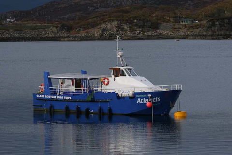 Scottish Highlands: Isle of Skye Glass-Bottom Boat Tour Isle of Skye: 1-Hour Glass-Bottom Boat Wildlife Tour