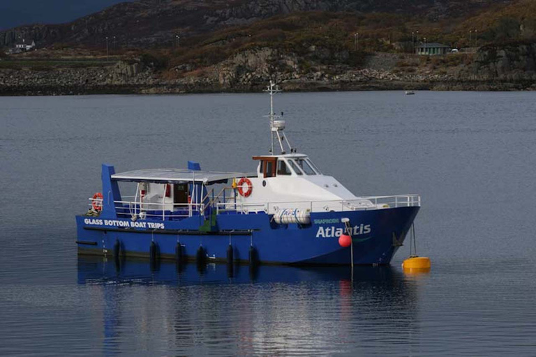 Scottish Highlands: Isle of Skye Glass-Bottom Boat Tour Isle of Skye: 1-Hour Glass-Bottom Boat Wildlife Tour