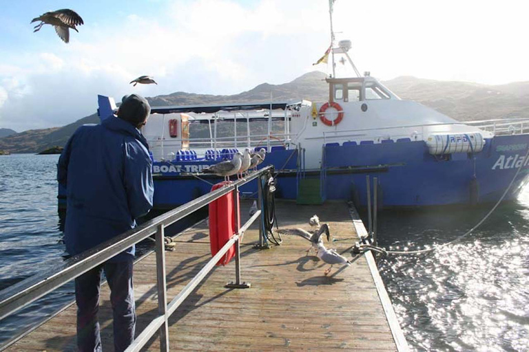 Scottish Highlands: Isle of Skye Glass-Bottom Boat Tour Isle of Skye: 1-Hour Glass-Bottom Boat Wildlife Tour