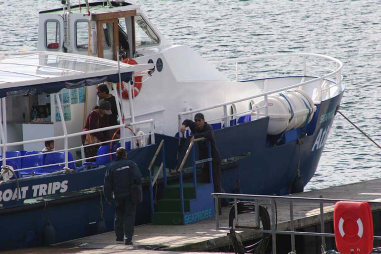 Scottish Highlands: Isle of Skye Glass-Bottom Boat Tour Isle of Skye: 1-Hour Glass-Bottom Boat Wildlife Tour