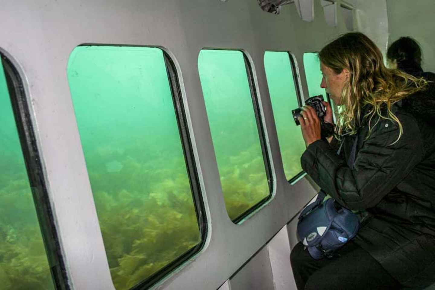 Escursione in barca con fondo di vetro sull'Isola di Skye