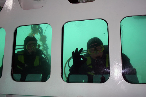 Scottish Highlands: Isle of Skye Glass-Bottom Boat Tour Isle of Skye: 1-Hour Glass-Bottom Boat Wildlife Tour