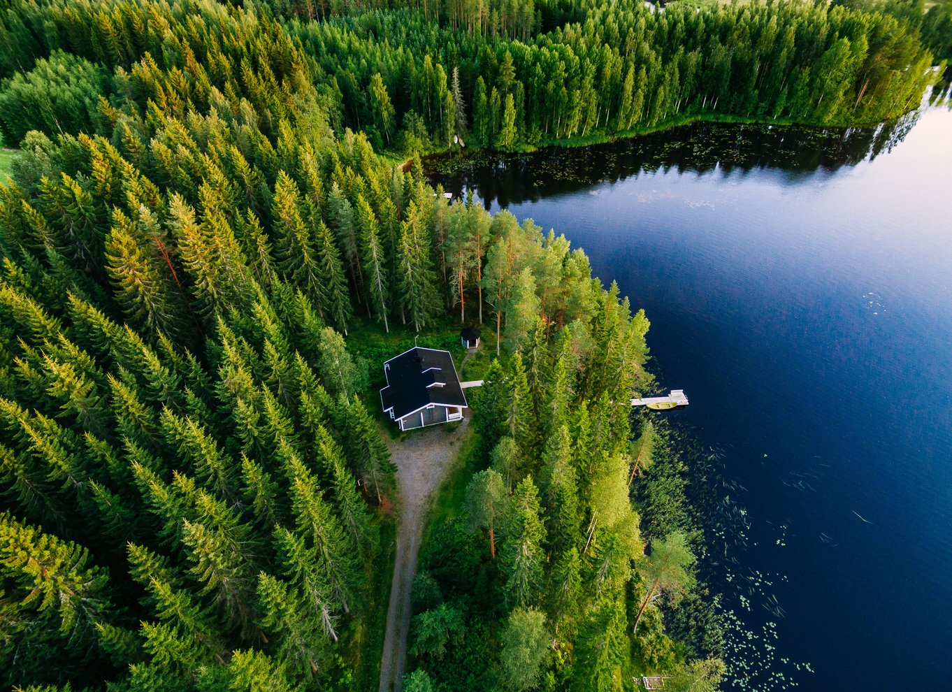 Fra Rovaniemi: Midnight Sun Forest Lake Float