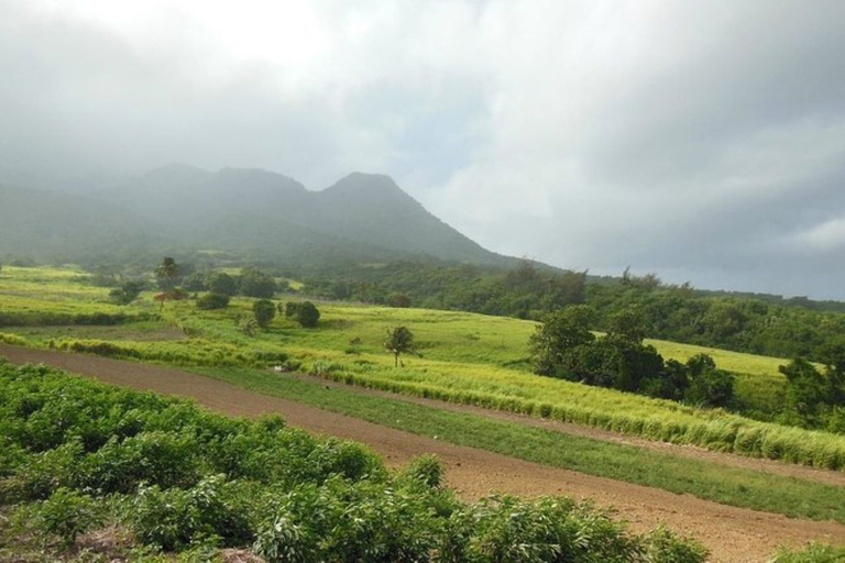 St Kitts: Jungle Bikes Off-Road Buggy Tour St Kitts: Off-Road Buggy Island Tour with Transfer