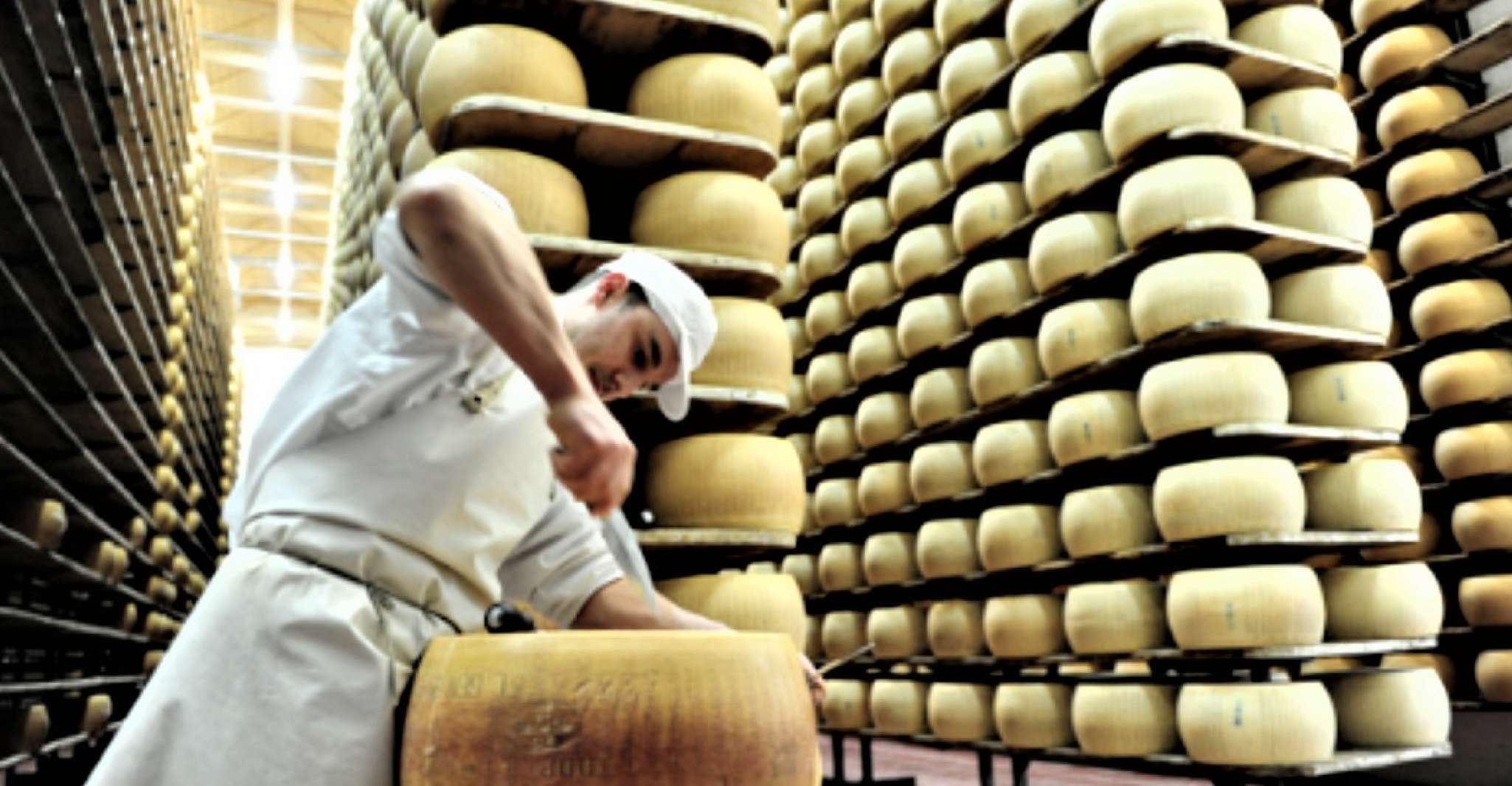 Parma, Parmigiano Production and Parma Ham Tour & Tasting - Housity