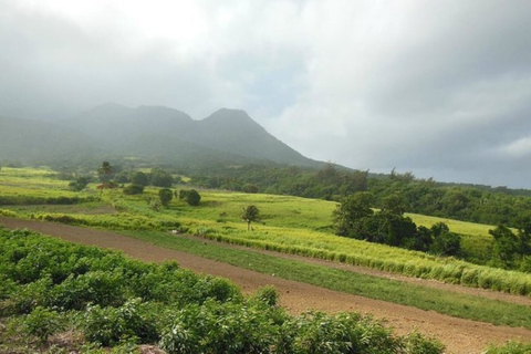 St Kitts: Jungle Bikes off-road ATV-tour