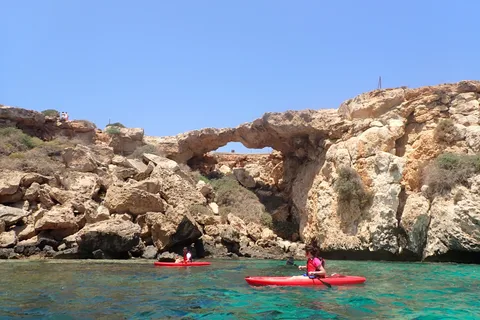 Visite guidée privée de 6 heures en kayak à East Cape Greko