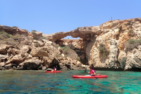 De Nicosie: visite guidée privée en kayak d'East Cape GrekoKayak guidé à East Cape Greko