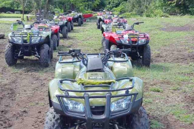 St. Kitts: Dschungel Bikes ATV und geführte StrandtourSt. Kitts: Geführte ATV- und Strandtour