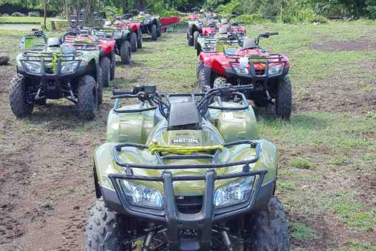 St. Kitts: Dschungel Bikes ATV und geführte StrandtourSt. Kitts: Geführte ATV- und Strandtour