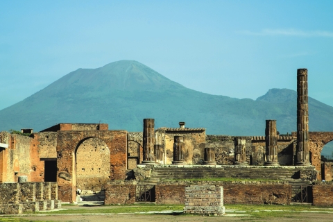 Naples and Pompeii smart day tour from Rome: entrance ticket Classic Option