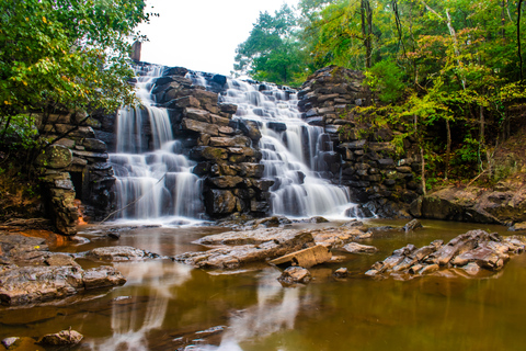 Alabama: pass multi-attrazione Auburn/Opelika/Alexander CityPass multi-attrazione di 2 giorni Auburn/Opelika/Alexander City