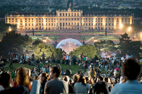 Wien: Panoramische Hop-On-Hop-Off-NachttourWien Panoramatour bei Nacht