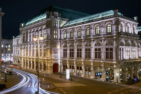 Viena: Big Bus City Highlights Night Tour com guia ao vivo