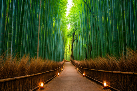 Kyoto: Kyoto Private & Customizable Tour with English Guide