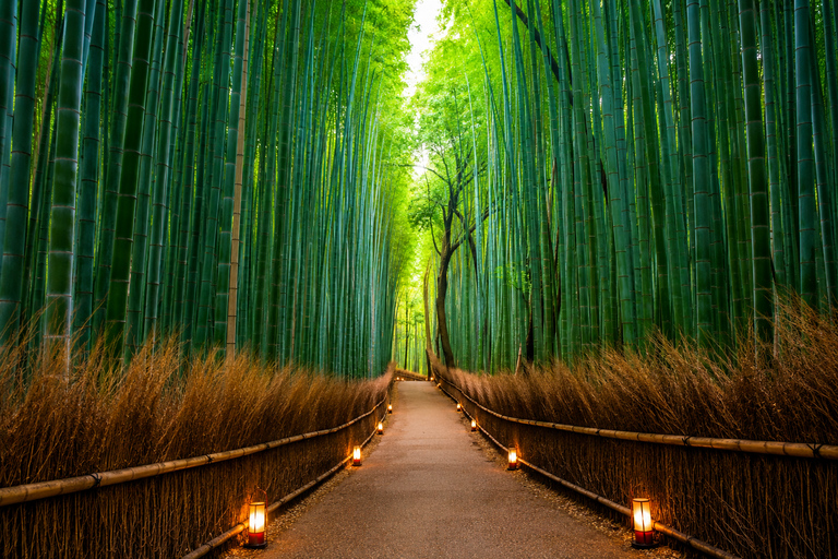 Kyoto: Kyoto Private & Customizable Tour with English Guide