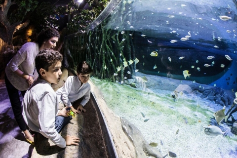 Sevilla: Ticket zum AquariumIndividuelles Ticket für das Aquarium von Sevilla