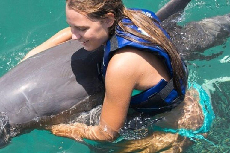 Punta Cana: Dolphin Explorer Program