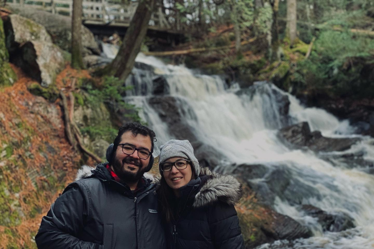 Muskoka: High Falls, Hardy Lake e Huckleberry Rock Tour