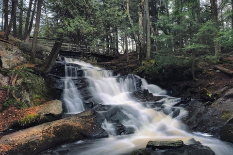 Muskoka: High Falls, Hardy Lake e Huckleberry Rock Tour