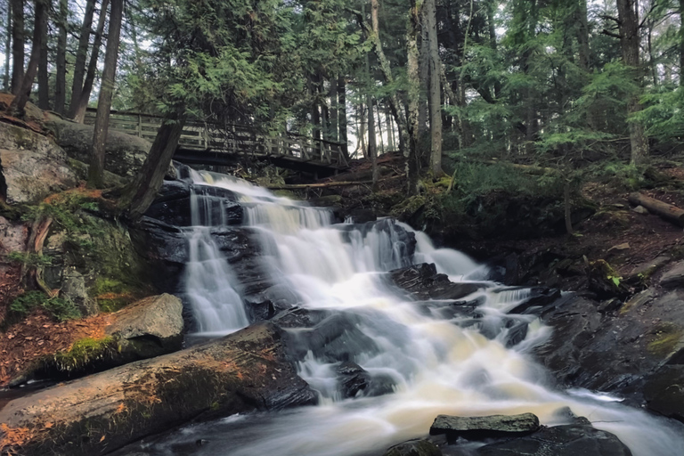 Muskoka: High Falls, Hardy Lake och Huckleberry Rock Tour