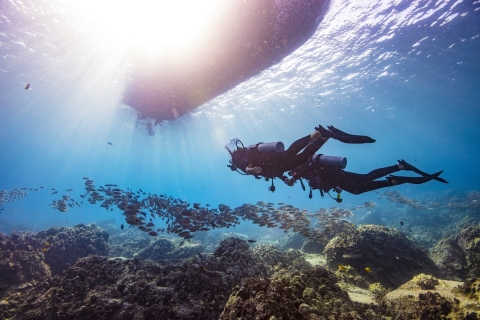 Dubai: PADI Open Water 18-Meter Diving Certification