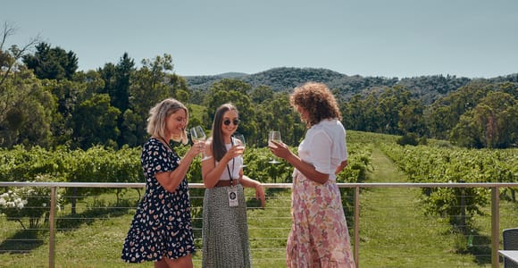 From Melbourne: Mornington Peninsula Wine Hop-On-Hop-Off Bus