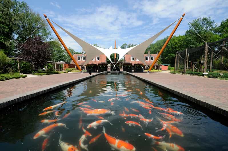 Rhenen Ouwehands Zoo Entry Ticket GetYourGuide Rhenen Ouwehands Zoo Entry Ticket GetYourGuide