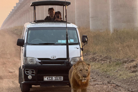Nairobi Park Safari, Sheldrick's Orphanage & Giraffe Center Shared Drive in Open-Roof Van Game Drive