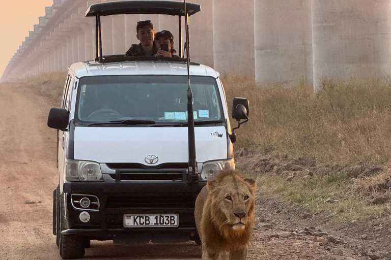 Nairobi Park Safari, Sheldrick's Orphanage & Giraffe Center Shared Drive in Open-Roof Van Game Drive