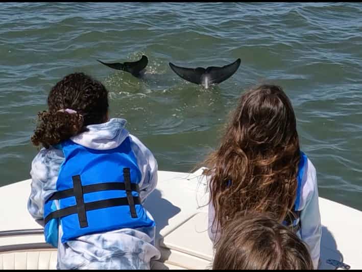 Hilton Head Island Dolphin and Nature Tour GetYourGuide