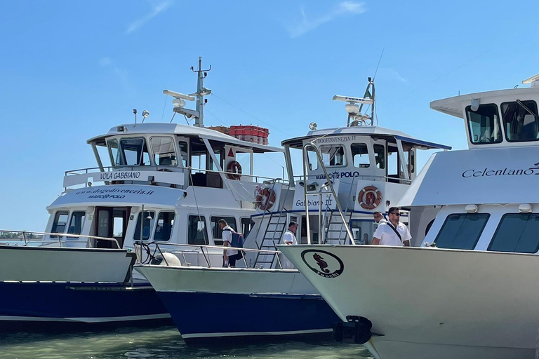 Desde Punta Sabbioni: Traslado de ida y vuelta en barco a Venecia