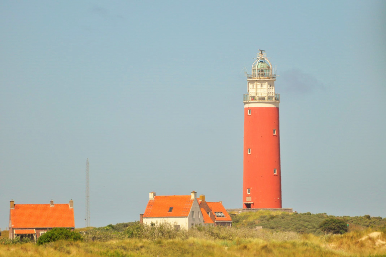 Amsterdam: visite d'une journée complète de l'île en petit groupe à TexelExcursion d'une journée complète en petit groupe sur l'île de Texel