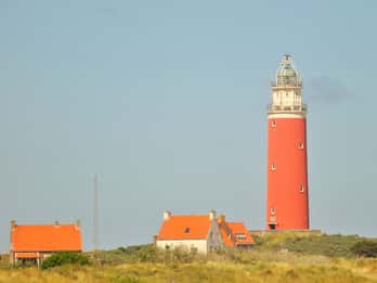Tour dell'isola di un'intera giornata in piccoli gruppi a Texel da Amsterdam