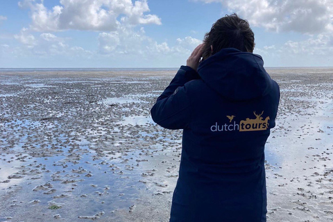 Amsterdam: visite d'une journée complète de l'île en petit groupe à TexelExcursion d'une journée complète en petit groupe sur l'île de Texel