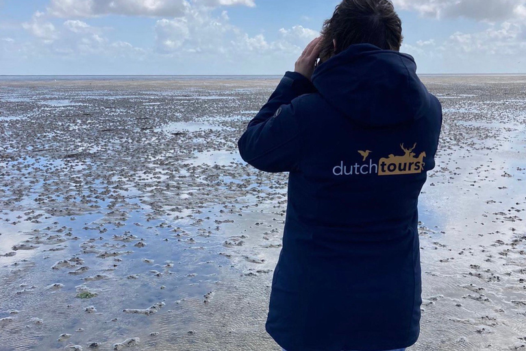 Amsterdam: visite d'une journée complète de l'île en petit groupe à TexelExcursion d'une journée complète en petit groupe sur l'île de Texel