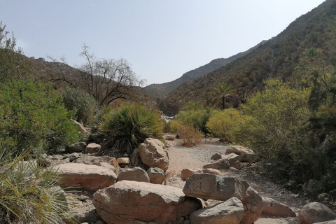 From Agadir: Paradise Valley Visit & Sandboarding with Lunch