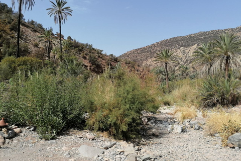 From Agadir: Paradise Valley Visit & Sandboarding with Lunch