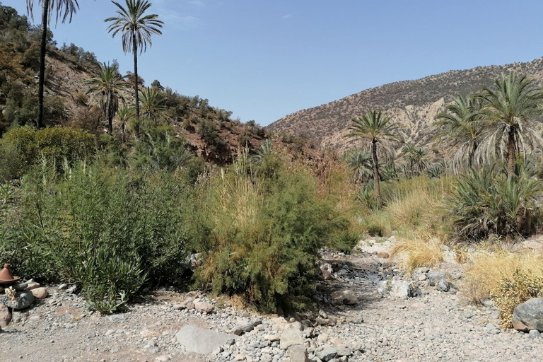 From Agadir: Paradise Valley Visit & Sandboarding with Lunch