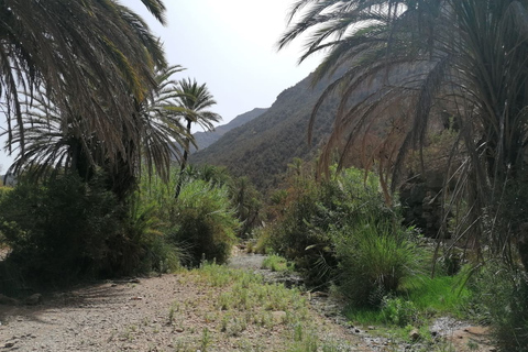 From Agadir: Paradise Valley Visit & Sandboarding with Lunch