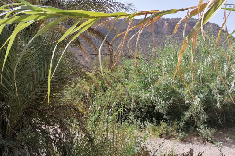 From Agadir: Paradise Valley Visit & Sandboarding with Lunch