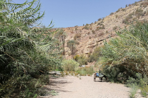 From Agadir: Paradise Valley Visit & Sandboarding with Lunch