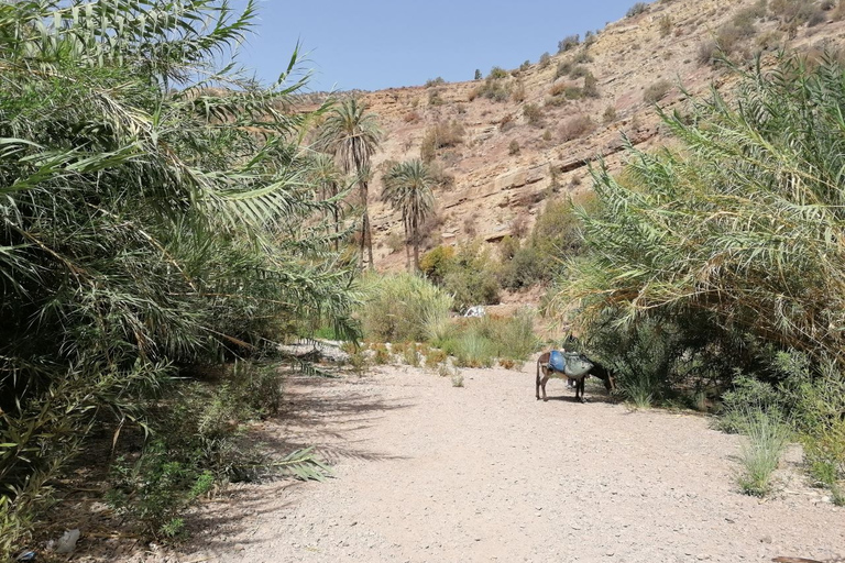 From Agadir: Paradise Valley Visit & Sandboarding with Lunch