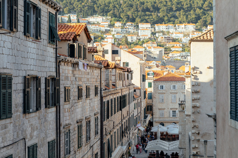 Dubrovnik: Private Family Friendly City Tour with Guide