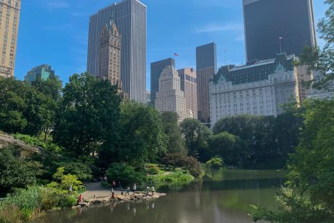 New York City: Central Park Exploration Game