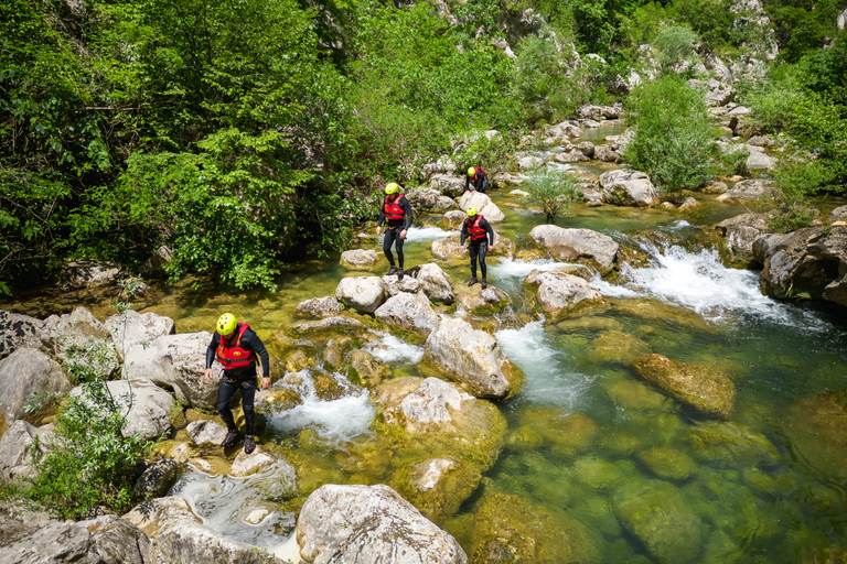 Da Spalato: Canyoning estremo sul fiume CetinaSenza trasferimento da Spalato