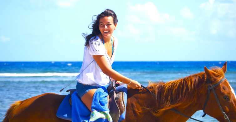 From Falmouth Horseback Ride and Swim Beach Trip GetYourGuide