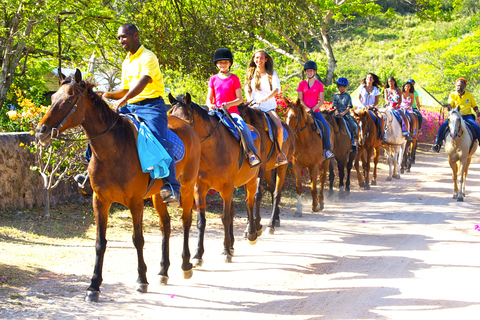 从法尔茅斯出发：骑马和游泳海滩之旅从法尔茅斯邮轮港