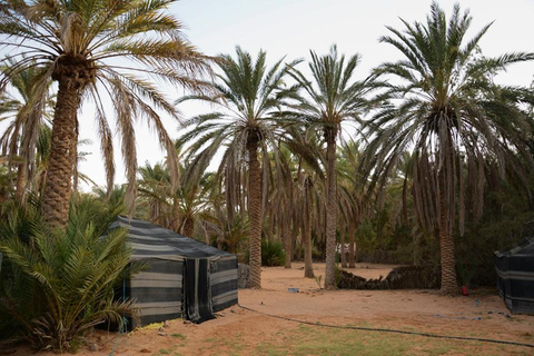 Tagestour in die tunesische Wüste: Ksar Ghilan &amp; Star Wars Stätten